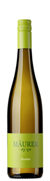 2024 Rivaner / Weingut Gerhard Mäurer GdbR / Dackenheim in der Pfalz | © Weingut Gerhard Mäurer GdbR