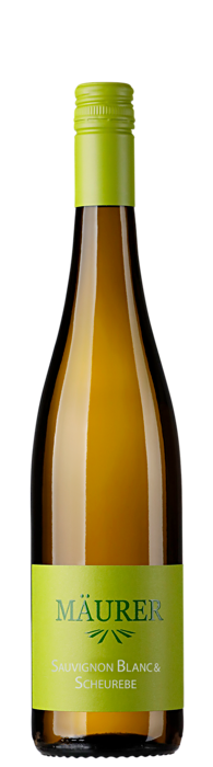 2025 Sauvignon Blanc & Scheurebe / Weingut Gerhard Mäurer GdbR / Dackenheim in der Pfalz | &copy; Weingut Gerhard Mäurer GdbR