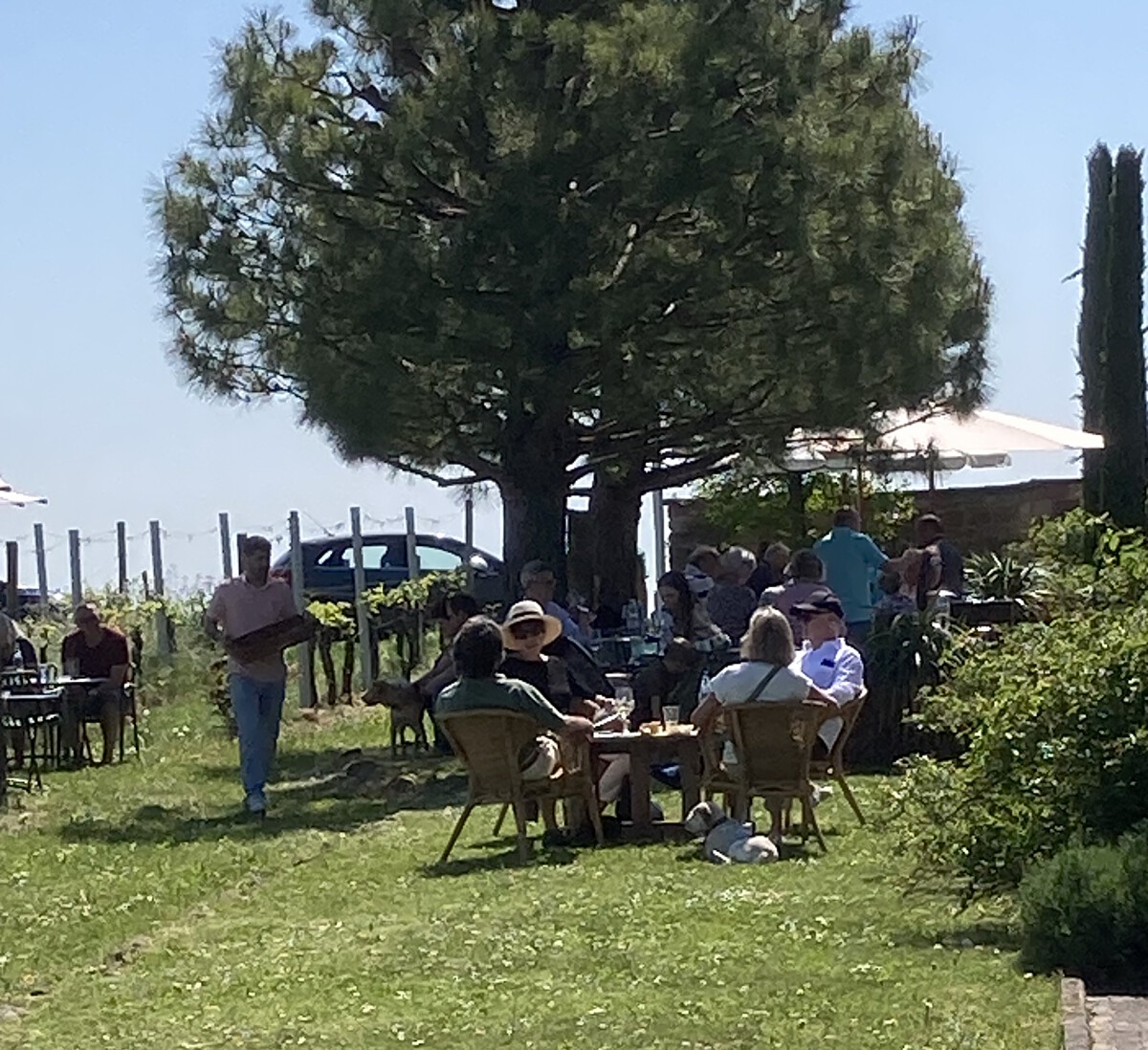 Bild | © Weingut Gerhard Mäurer GdbR