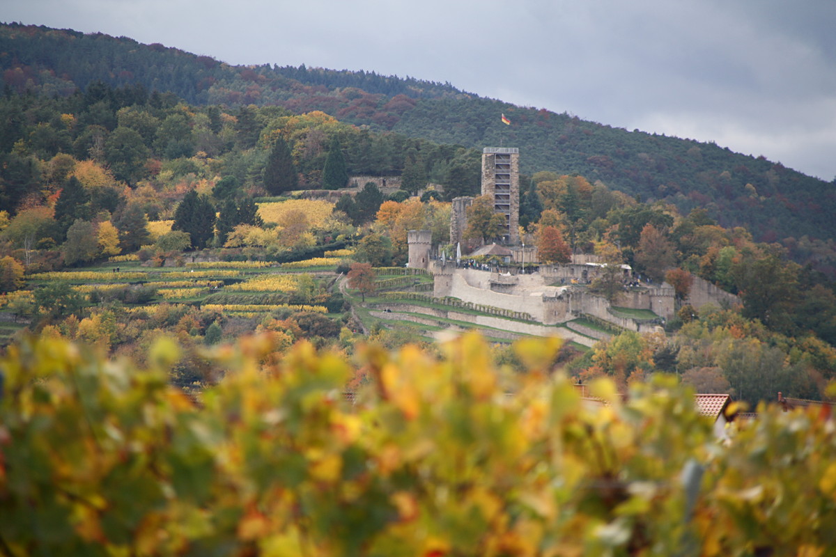 Burgen an der Haardt | © Weingut Gerhard Mäurer GdbR