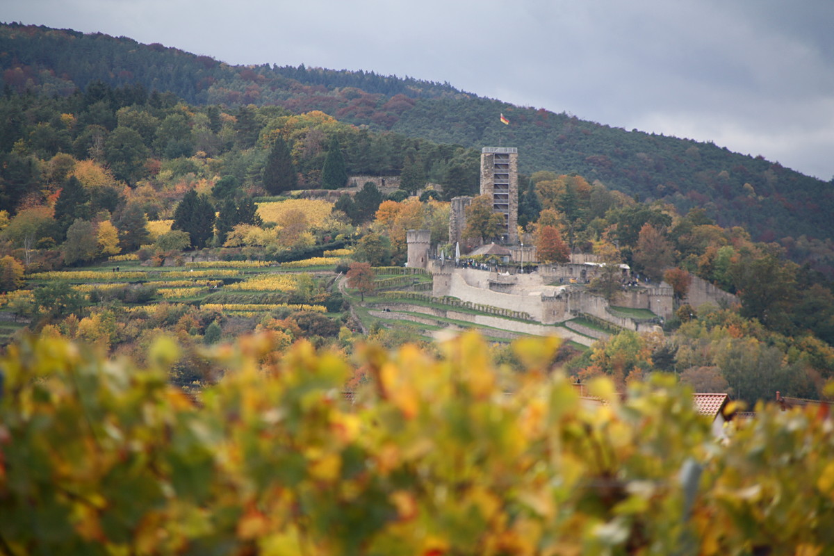 Burgen an der Haardt | © Weingut Gerhard Mäurer GdbR