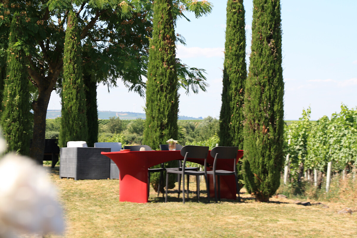 Bild | © Weingut Gerhard Mäurer GdbR