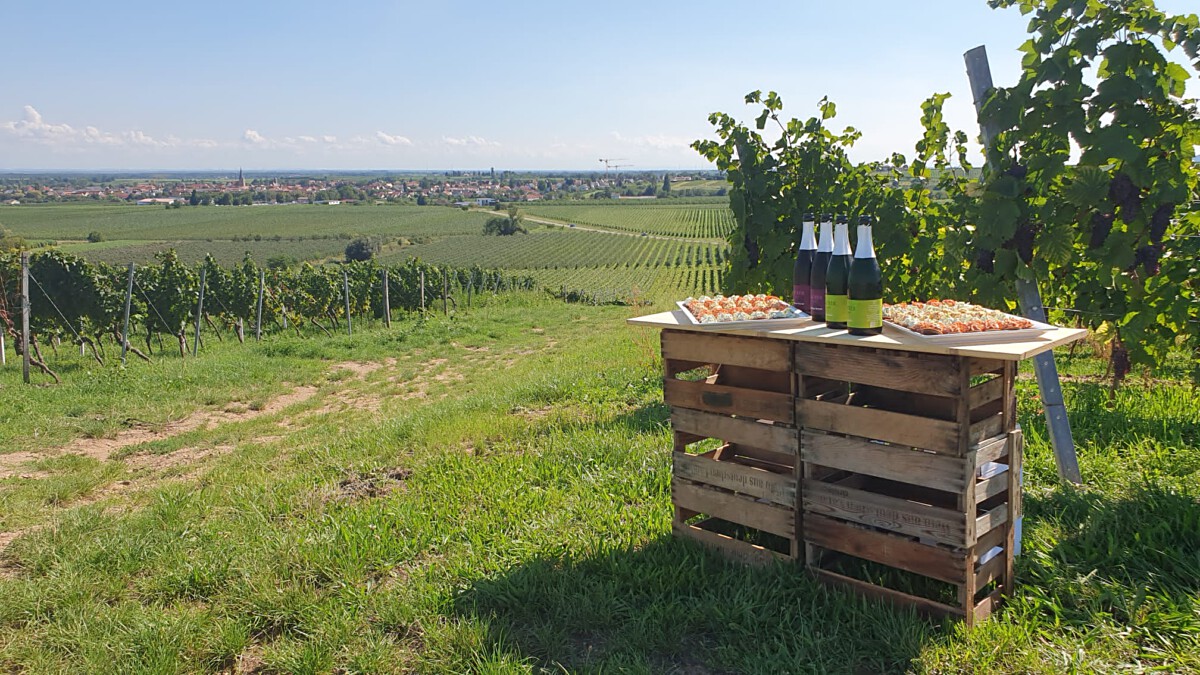 Bild | © Weingut Gerhard Mäurer GdbR