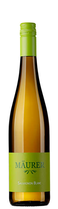 2025 Sauvignon Blanc / Weingut Gerhard Mäurer GdbR / Dackenheim in der Pfalz | &copy; Weingut Gerhard Mäurer GdbR