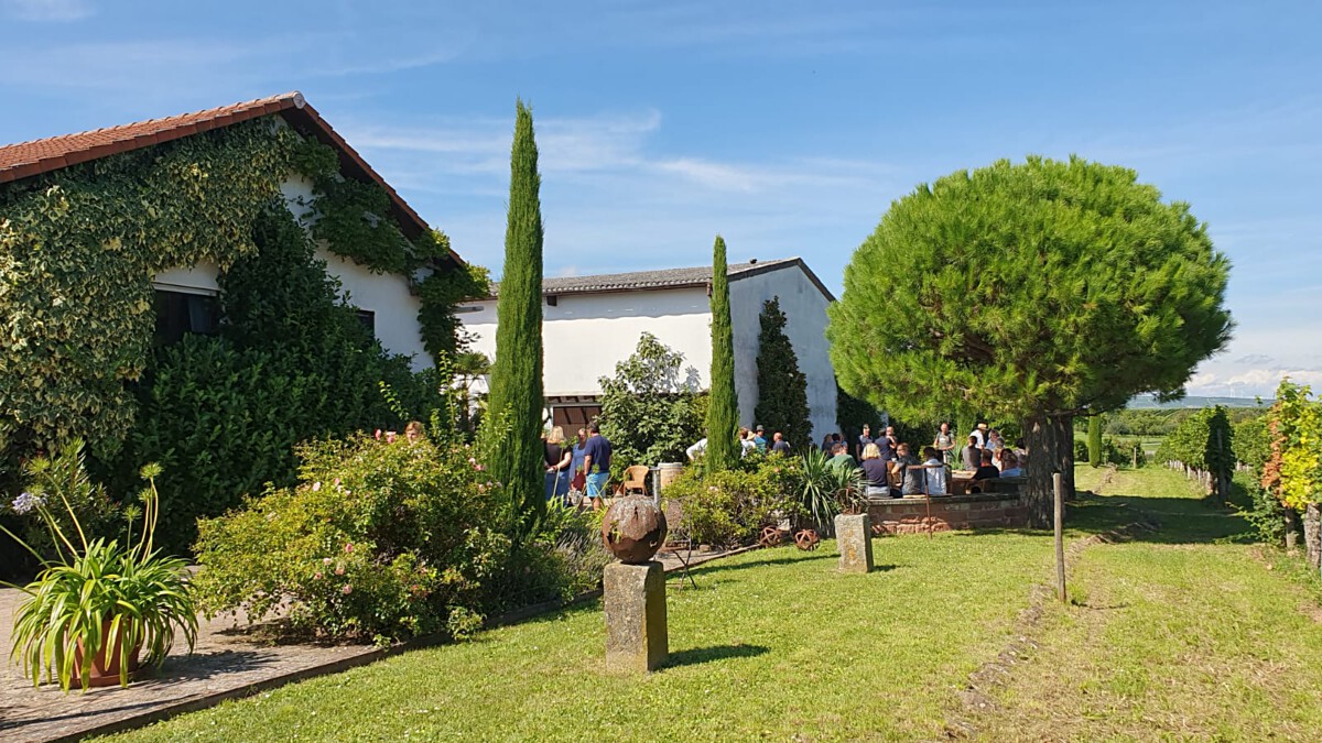 Bild | © Weingut Gerhard Mäurer GdbR