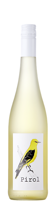 Pirol / Weingut Gerhard Mäurer GdbR / Dackenheim in der Pfalz | © Weingut Gerhard Mäurer GdbR