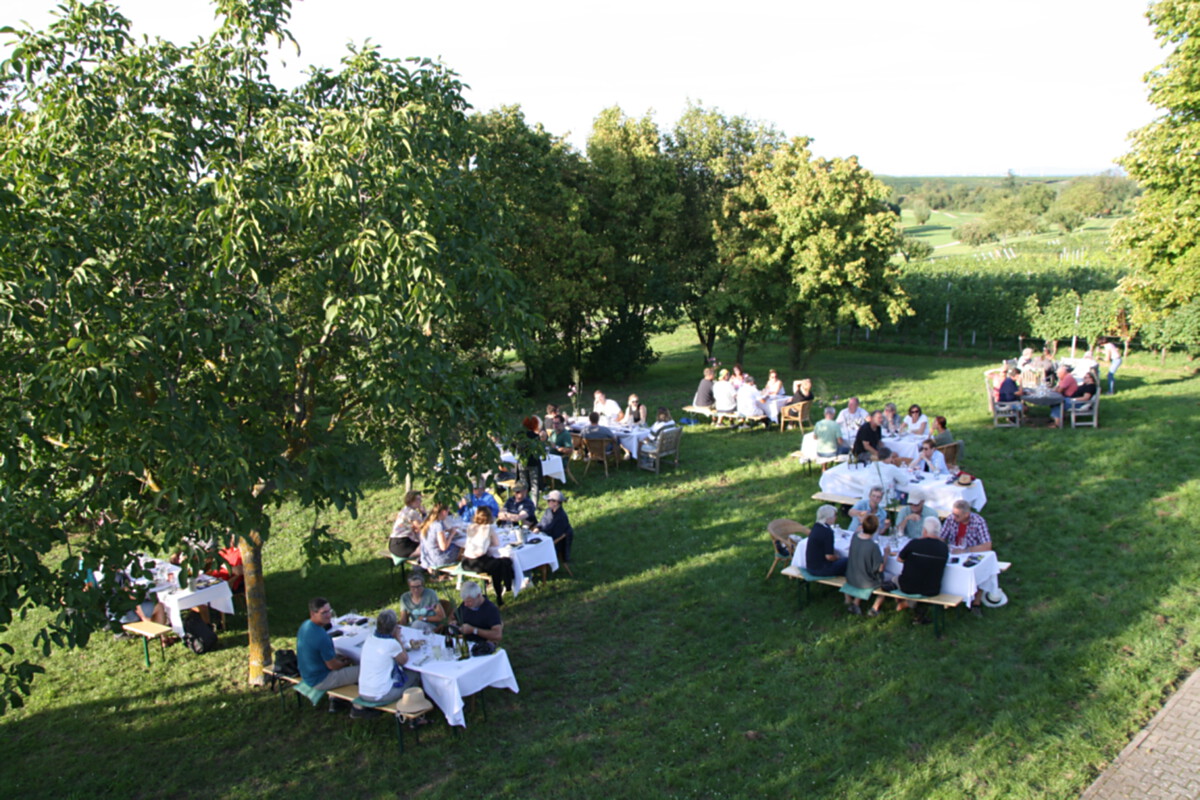 Bild | © Weingut Gerhard Mäurer GdbR