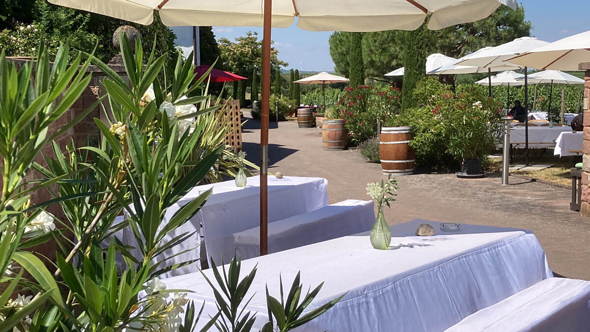 Bild | © Weingut Gerhard Mäurer GdbR