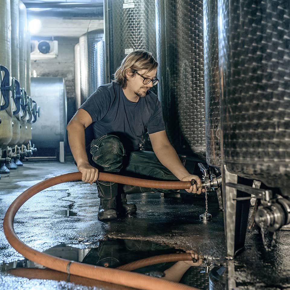 Bild | © Weingut Gerhard Mäurer GdbR
